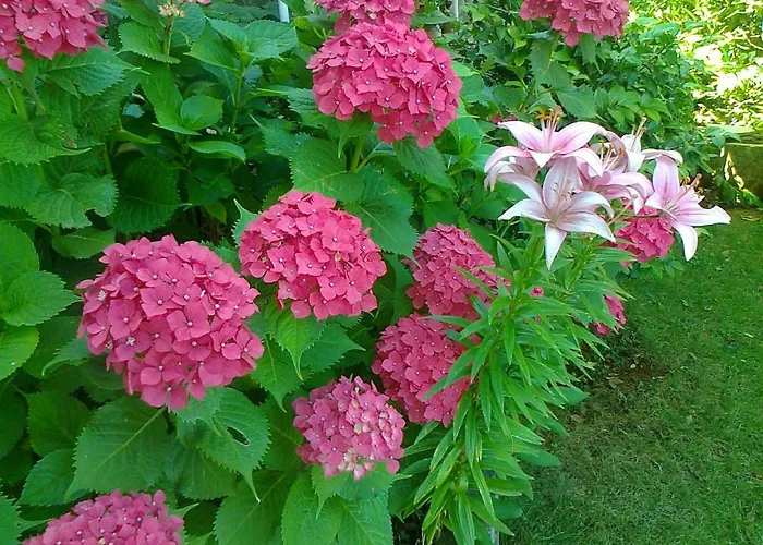 Suzy-apartments Suzana *