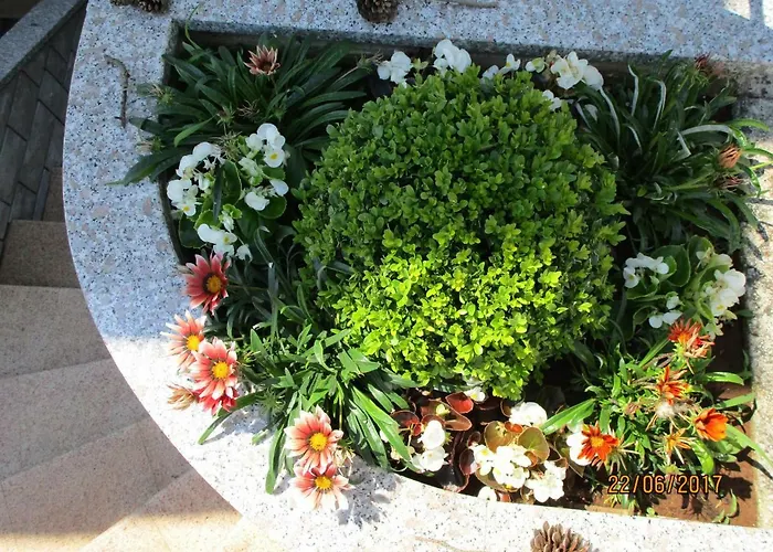 Suzy-apartments Suzana アパート